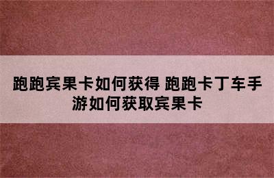 跑跑宾果卡如何获得 跑跑卡丁车手游如何获取宾果卡